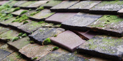 Graveley roof repair costs